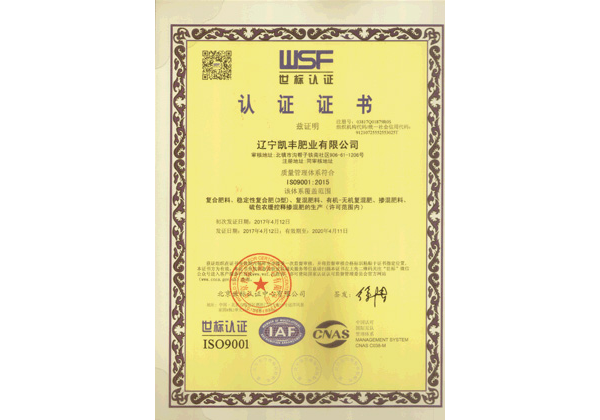 世标认证证书