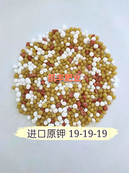进口原钾 19-19-19